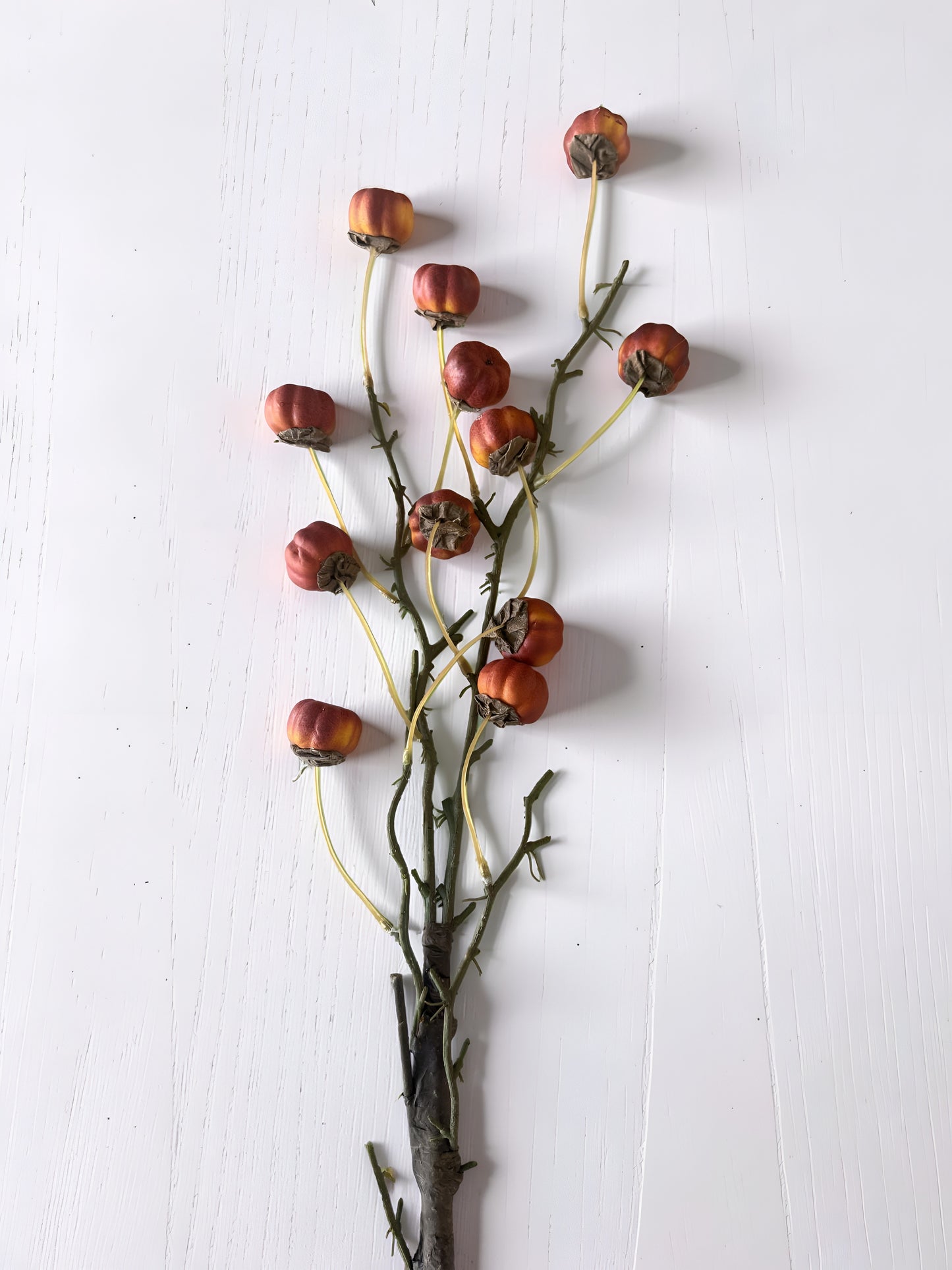 Orange Mini Pumpkin Branch