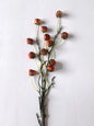 Orange Mini Pumpkin Branch
