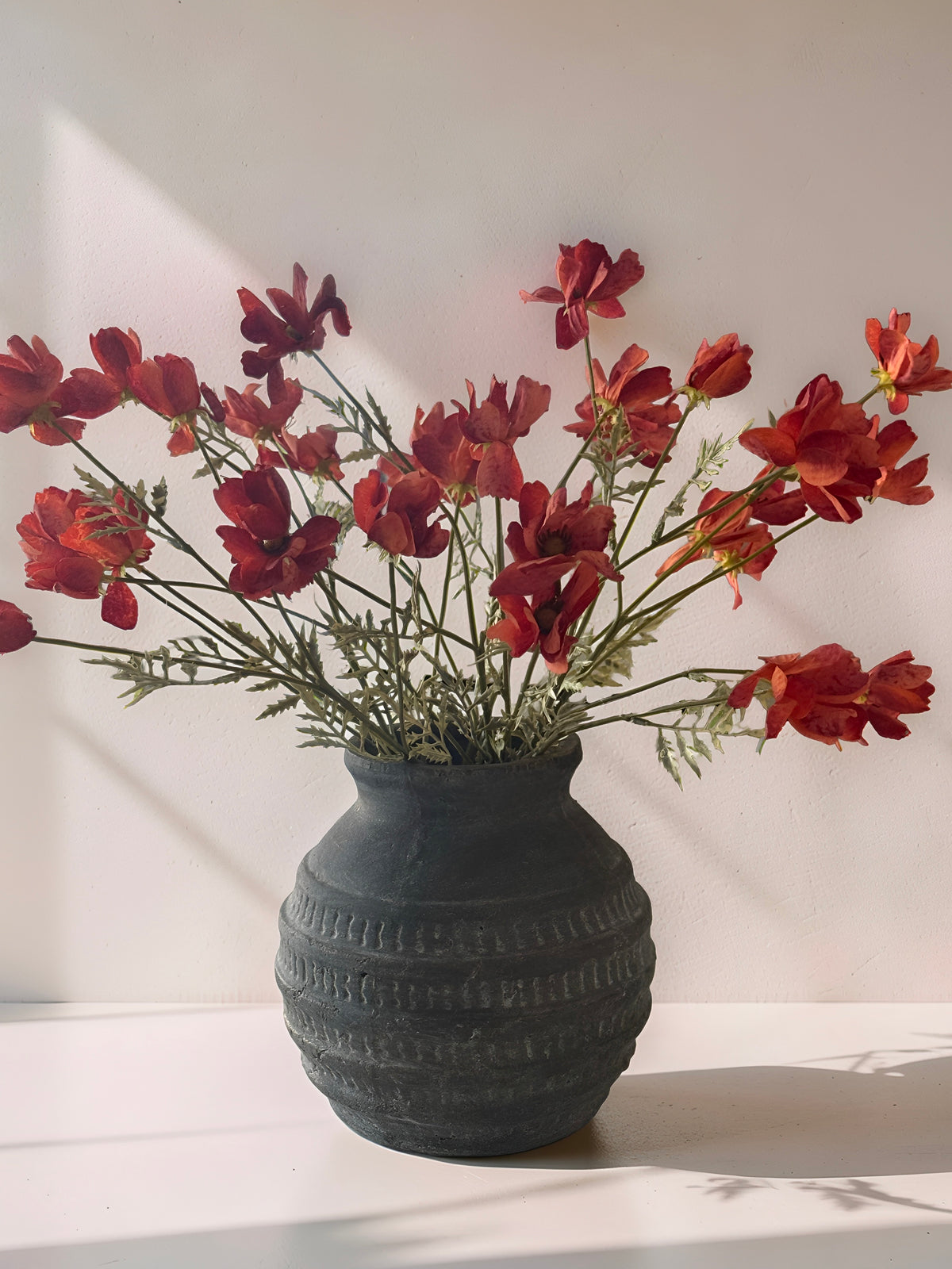 Orange Cosmo Stem