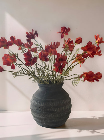 Orange Cosmo Stem