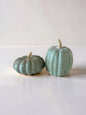 Pumpkins Set of 2