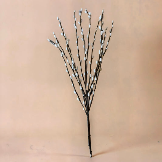 White Pussy Willow Branch