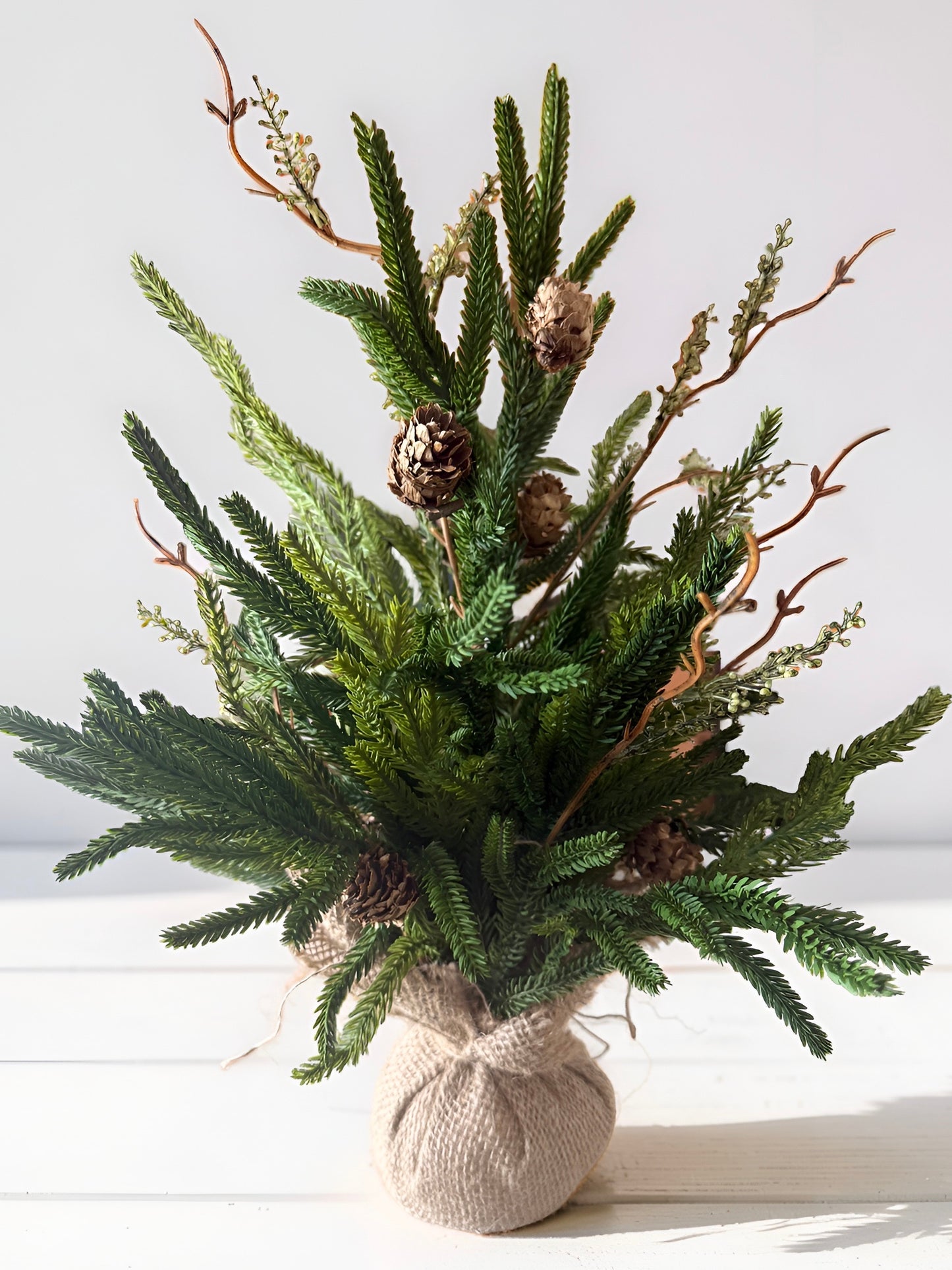 Pencil Pine Tree