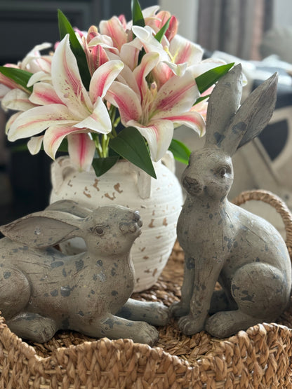 Distressed Gray Bunnies -