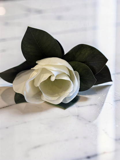 White Magnolia Stem -17''L