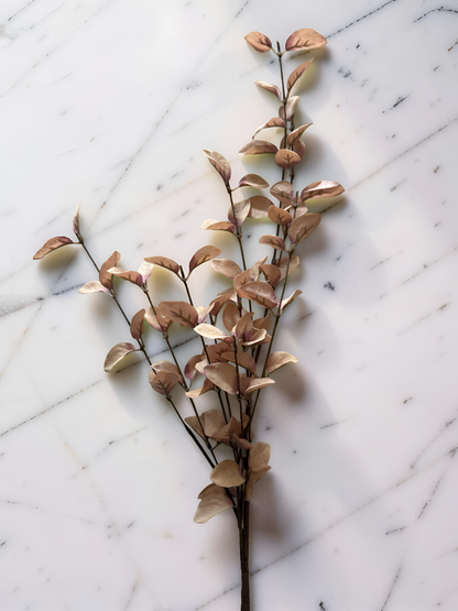 Beige Eucalyptus Stem- 34”L