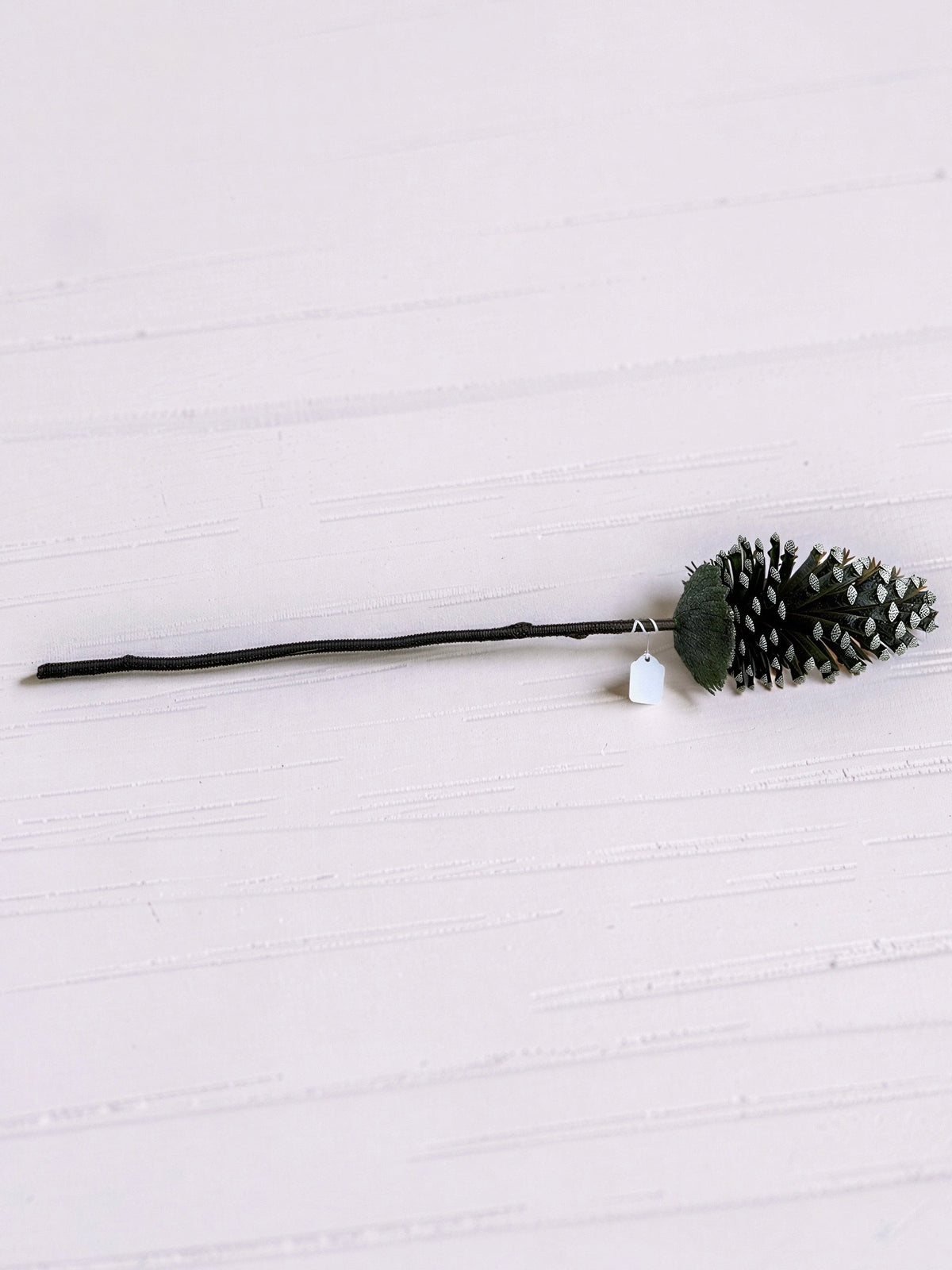 Brown Pinecone Stem