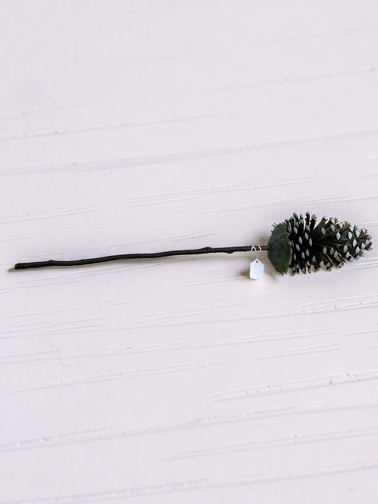 Brown Pinecone Stem