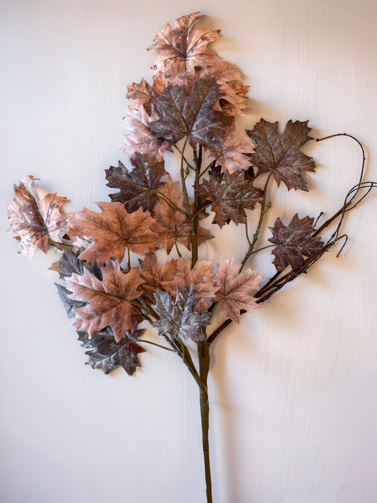 Sugar Maple Leaf Stem