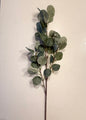 Eucalyptus Spray -31”H