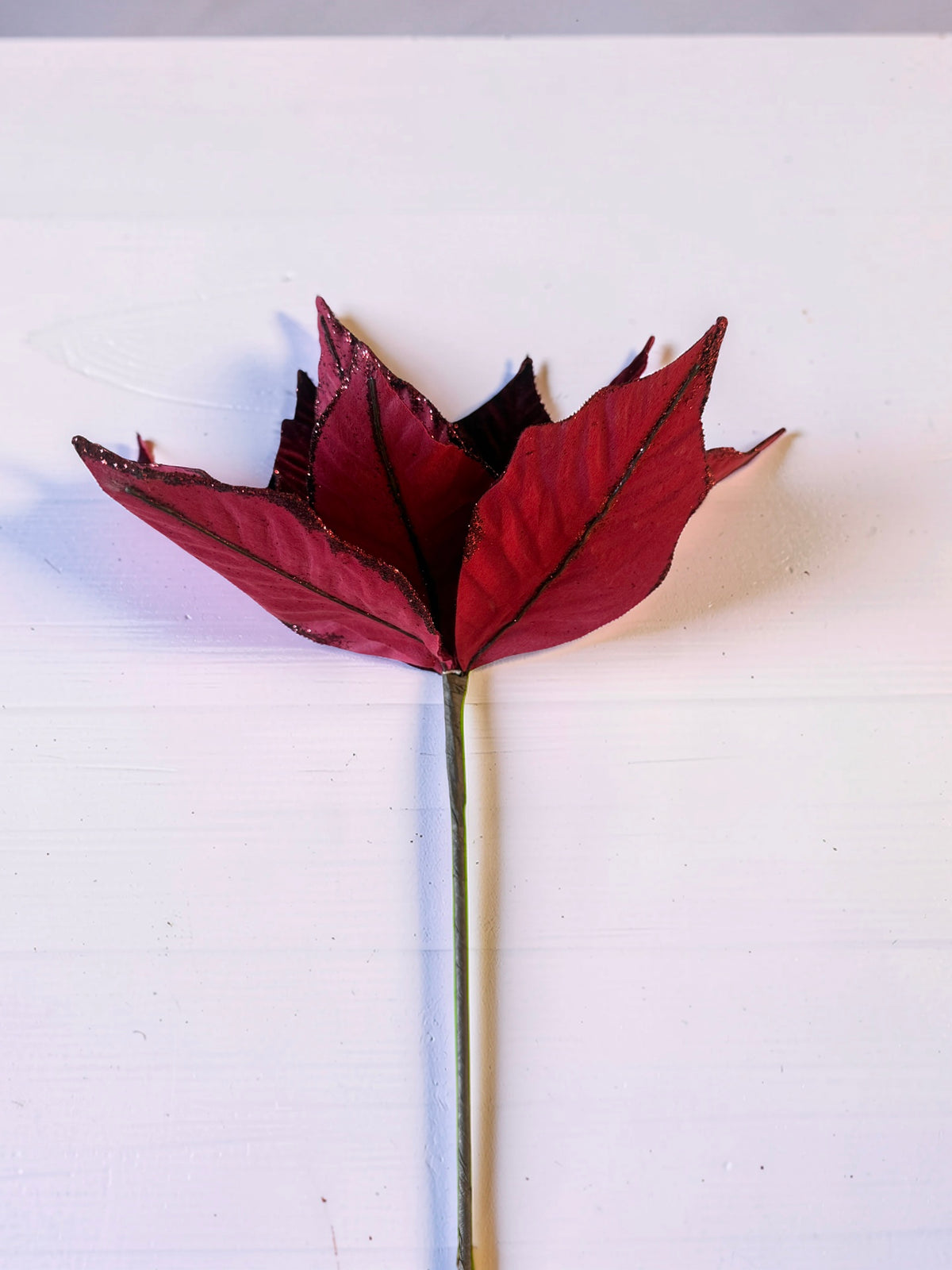 Red Poinsettia Stem