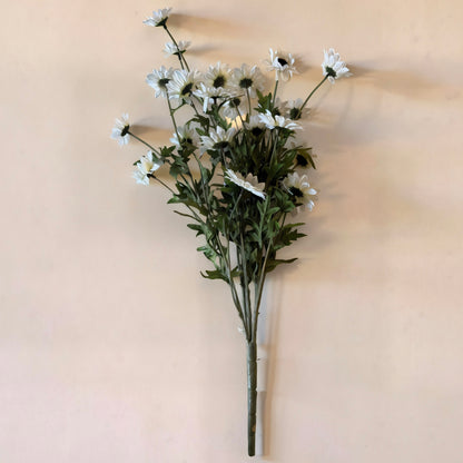 White Black Eyed Susan Bush