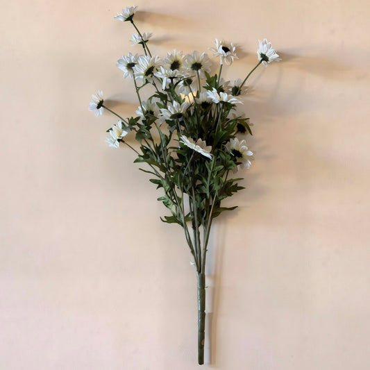 White Black Eyed Susan Bush