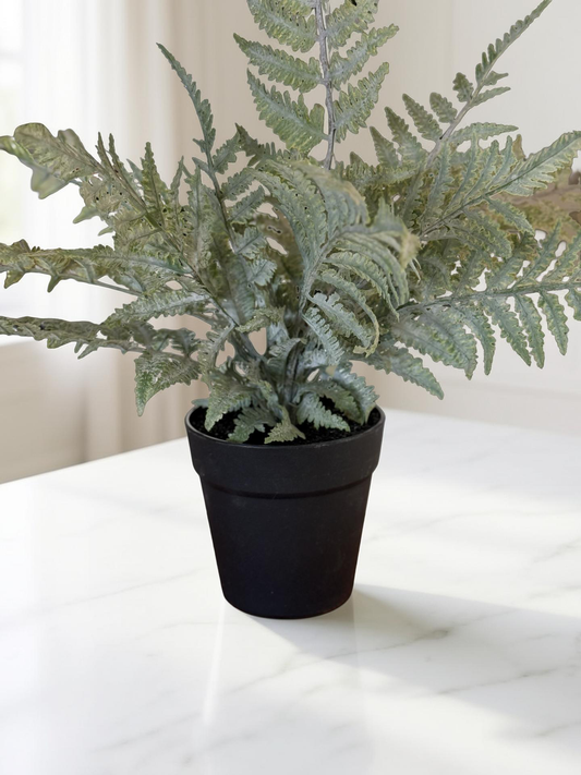 Potted Fern -19''H
