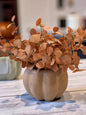 Fall Open Top Pumpkins