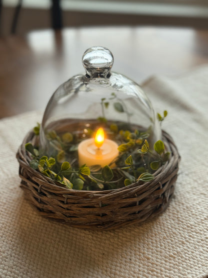 Willow Base Glass Cloche