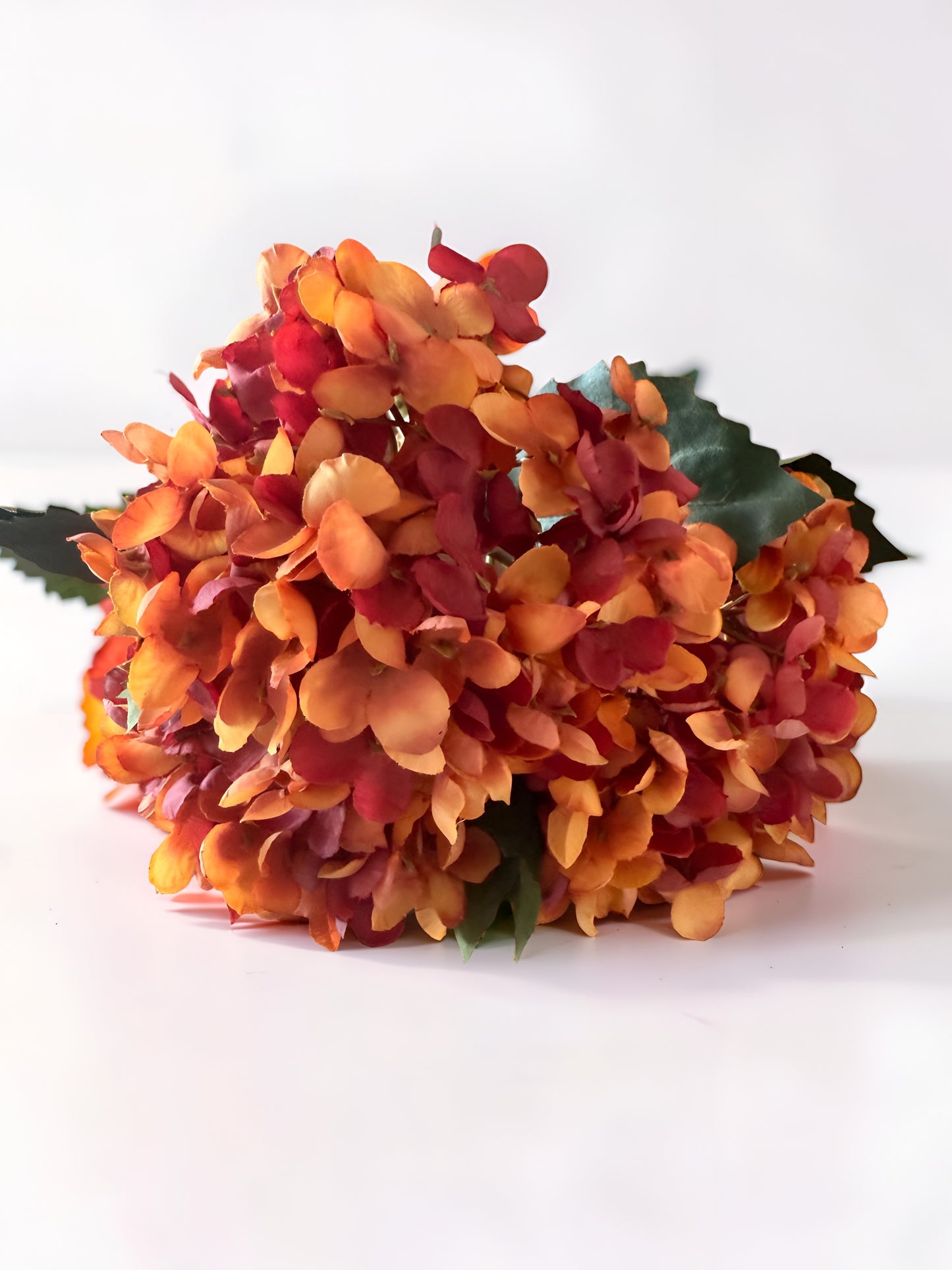 Two Tone Hydrangea Bundle
