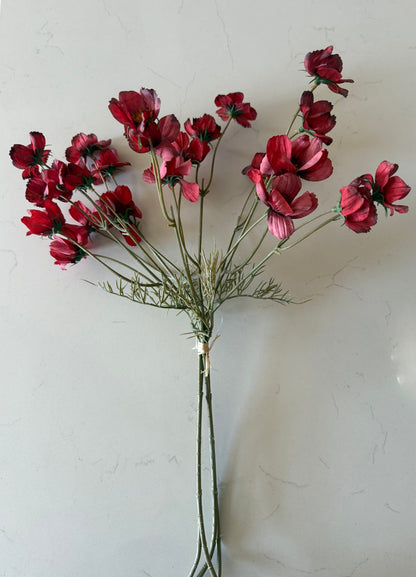 Light Burgundy Cosmo Stem