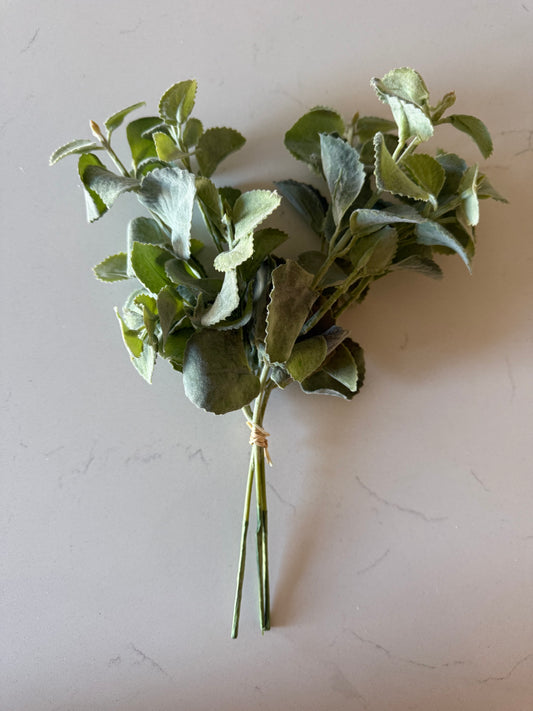 Basil Stems - 50% OFF