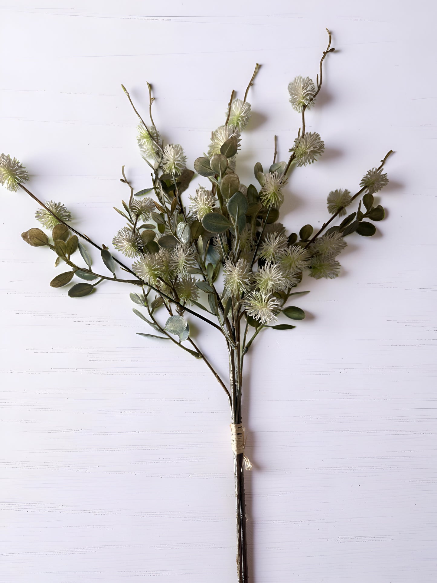 White and Green Witch-alder Bundle