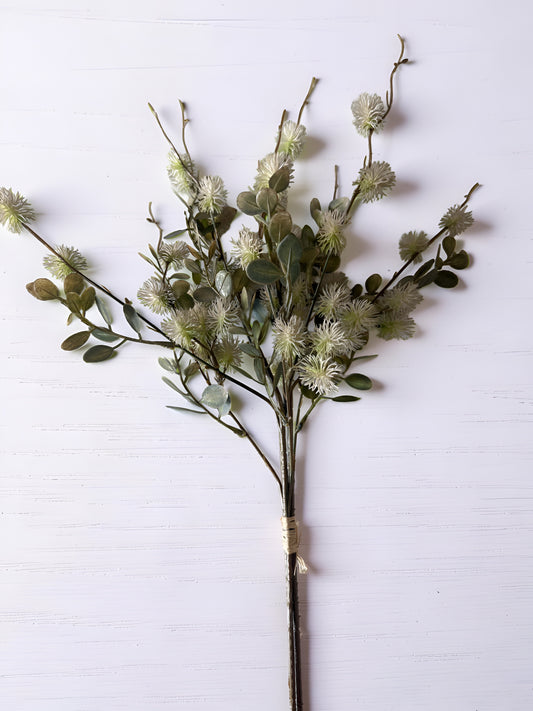 White and Green Witch-alder Bundle