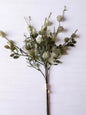 White and Green Witch-alder Bundle