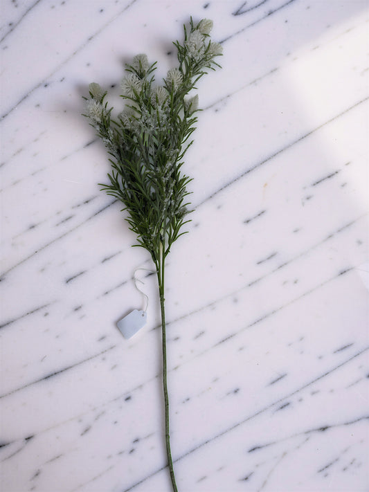 Snowy Thistle Stem