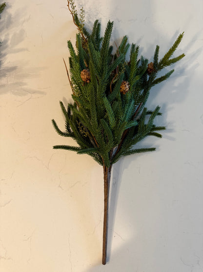 Pencil Pine Bush