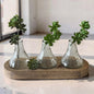 Bud Vases on Wood Tray