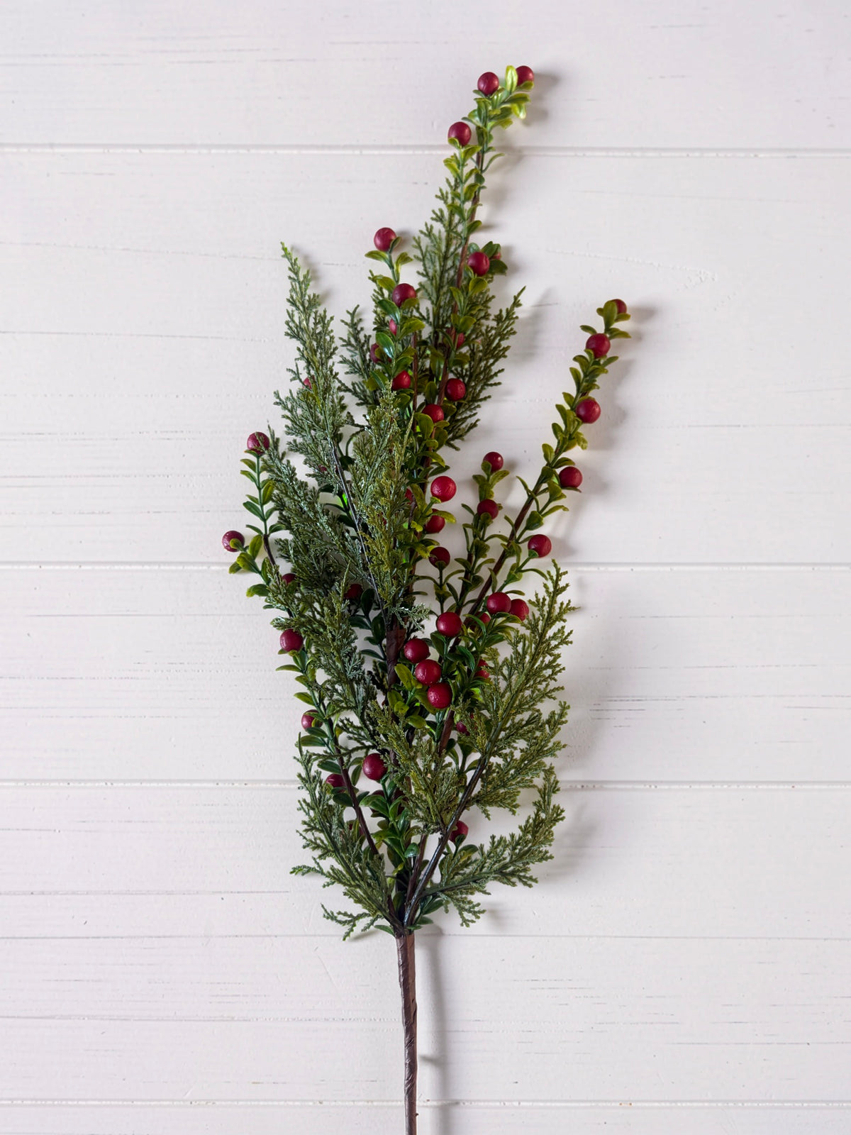 Red Berry Prickly Heath and Pine Stem