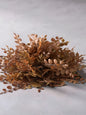 Cider Leaves Half Sphere