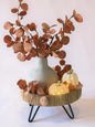 Jack O Lantern Bundle