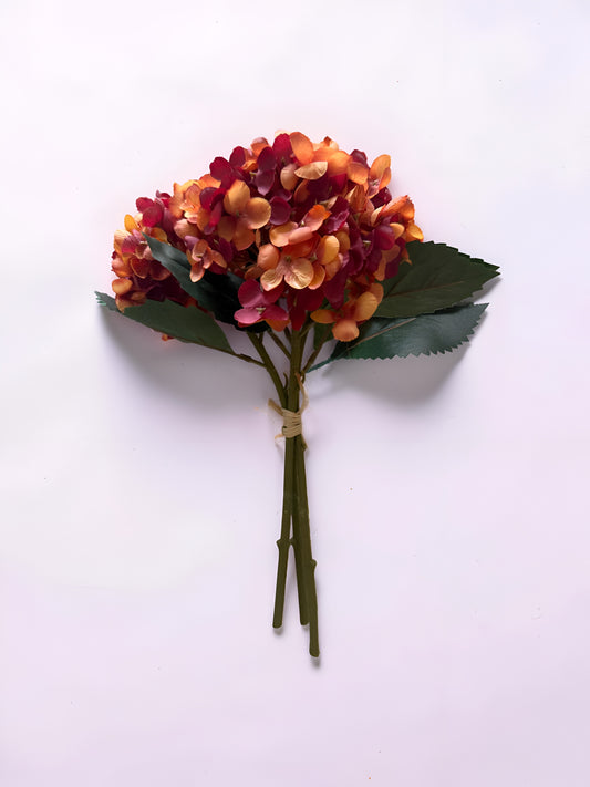 Two Tone Hydrangea Bundle
