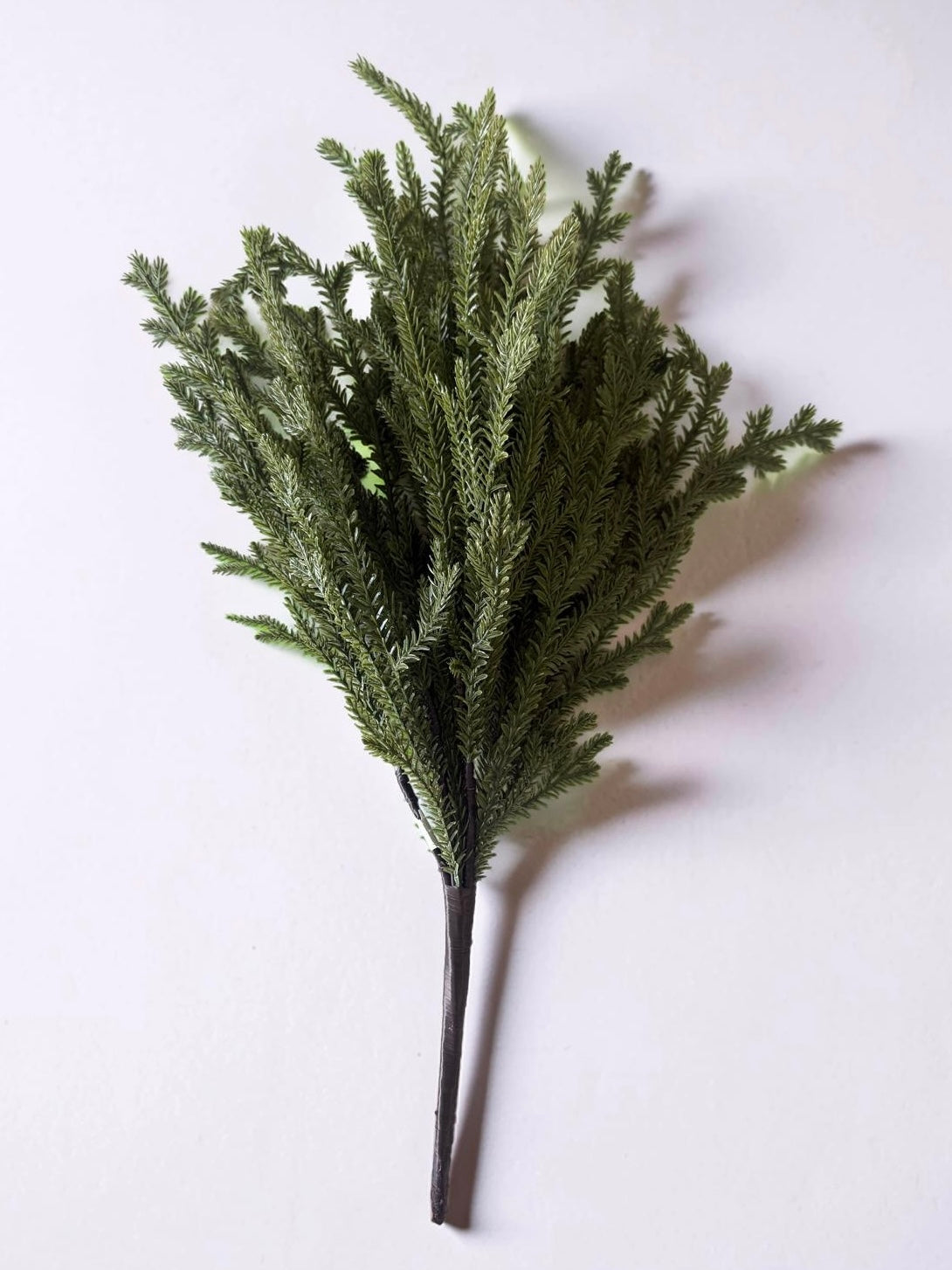 Greenwood Valley Bush
