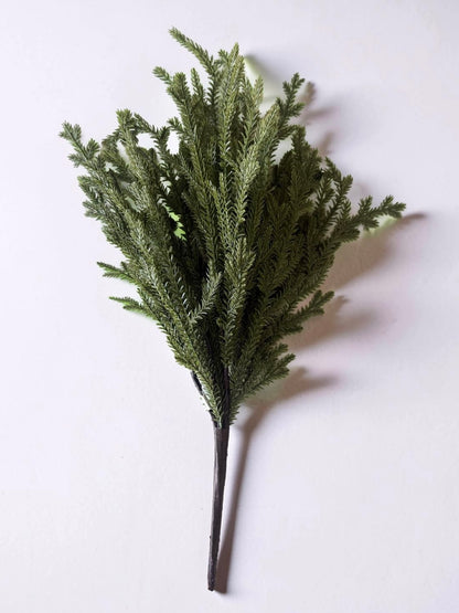Greenwood Valley Bush