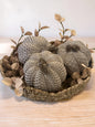 Woven Pumpkin Bundle