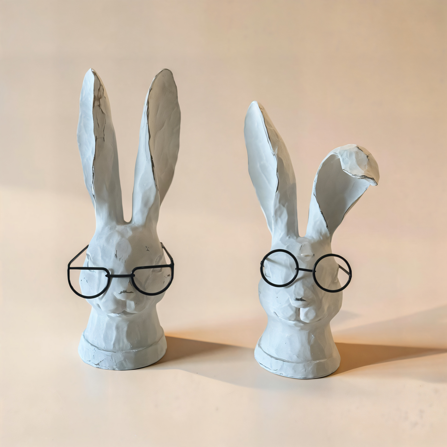 Rabbit with Glasses