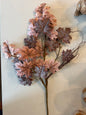 Sugar Maple Leaf Stem