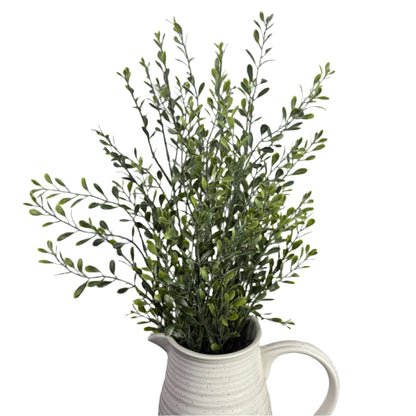 Basil Boxwood Bush