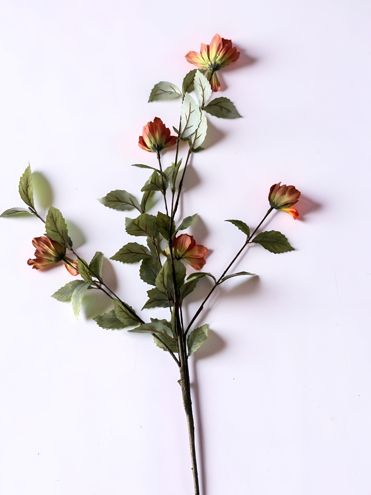Fall Flower Stem
