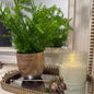 Real Touch Fern Pot