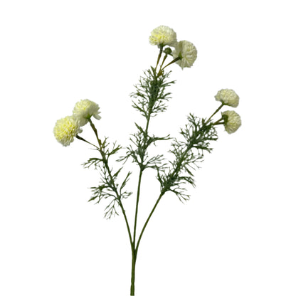 Ivory Chrysanthemum Stem