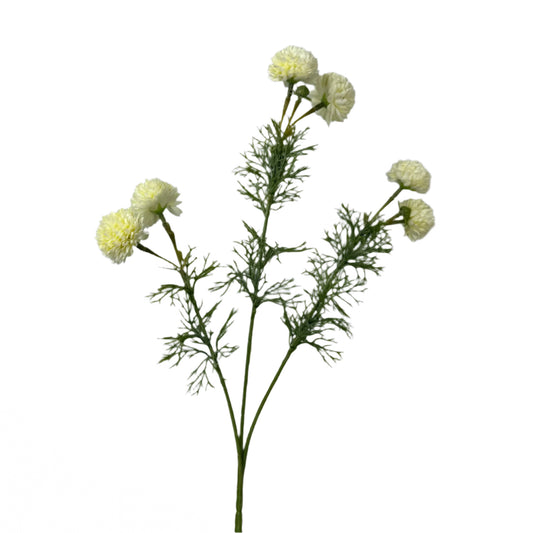 Ivory Chrysanthemum Stem