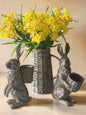 Daffodil and Rabbits Bundle