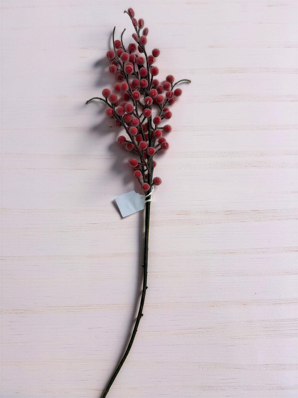 Frosted Red Berry Stem