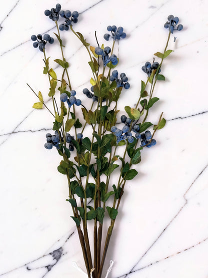 Blue Berry Bundle