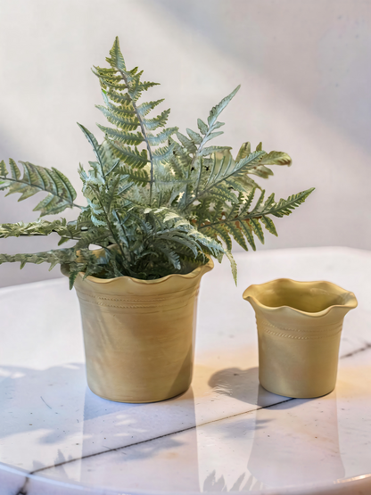 Terracotta Ruffle Top Planter