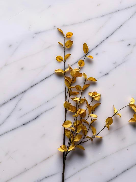 Light Yellow Eucalyptus Stem -34”L