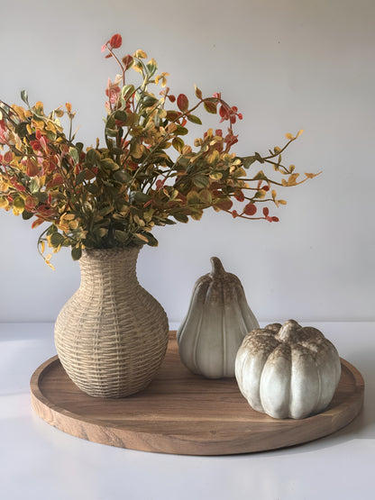 Brown Tone Pumpkin and Gourd