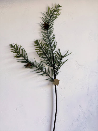 Pine Stem